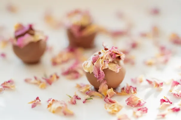 Kasino Bella Vegas Android/iOS Aplikácia